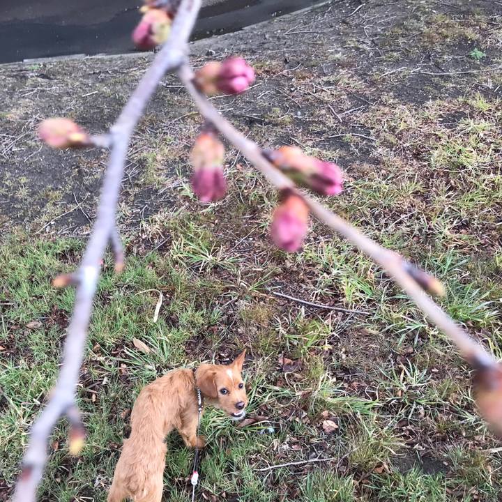 Ea7ae7e0 22a1 4f36 aacc 71769ccb0577 1554120932833