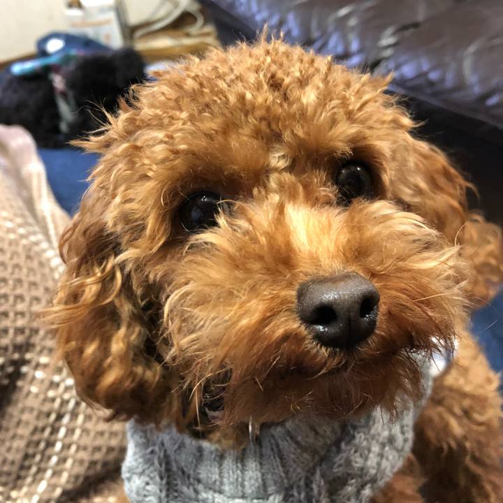 Ea7b354c 2b19 4adc 938f 09018676b754 1514100257403