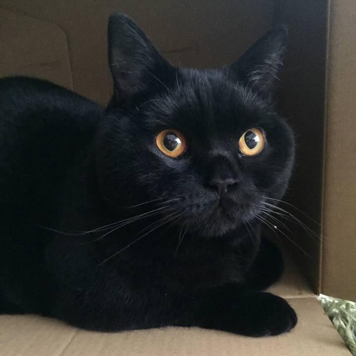 Ea7b4b38 4509 4b57 87e3 30b9a02732a6 1521683546524