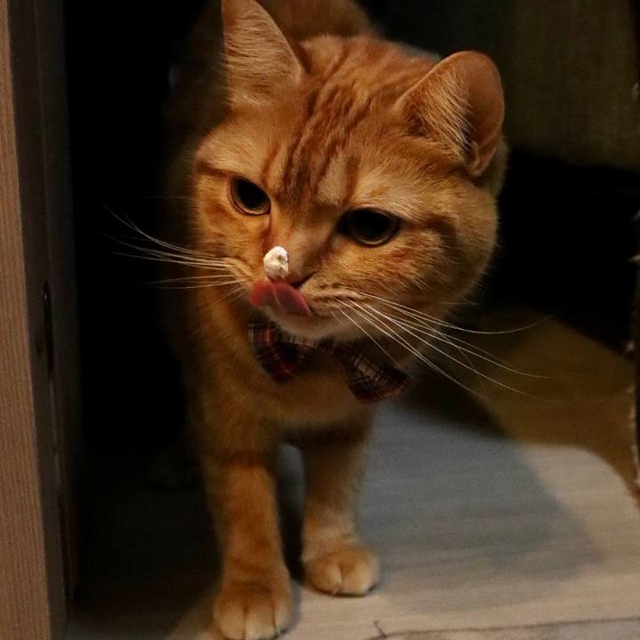 Ea7b9fbf e431 435b ade6 1670da598bbd 1609243193480