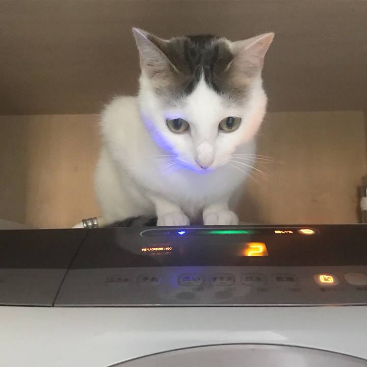 Ea7bc578 6a86 4621 bf72 34137411c8fc 1509159094770