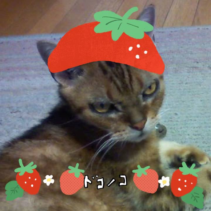 Ea7bd440 f09c 4459 80d8 1793d618cc4f 1775684009589