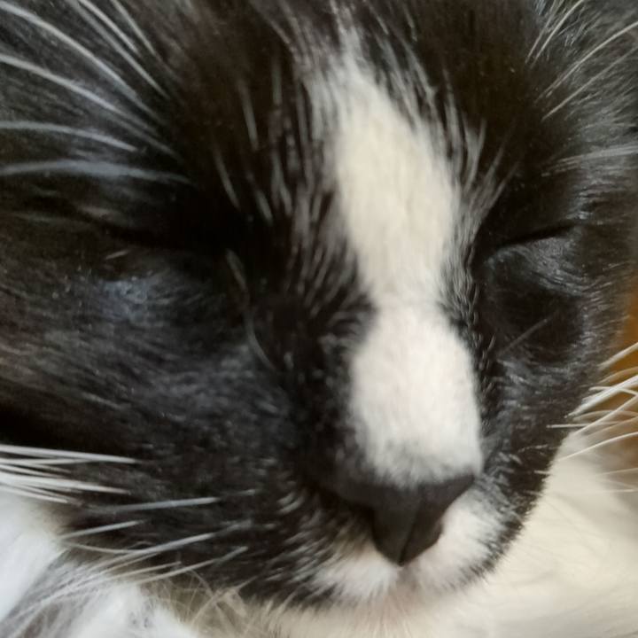 Ea7c16b5 d634 4b7c afea 8f070c7f29f9 1675072029815