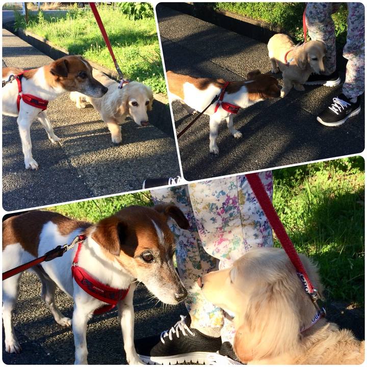 Ea7c2be5 021d 4d83 8d25 a07956367232 1528883041514