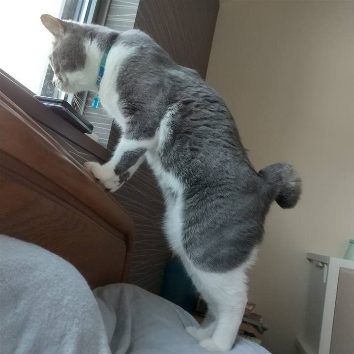 Ea7c42c9 3b44 4669 8008 62942fe55157 1650679241167