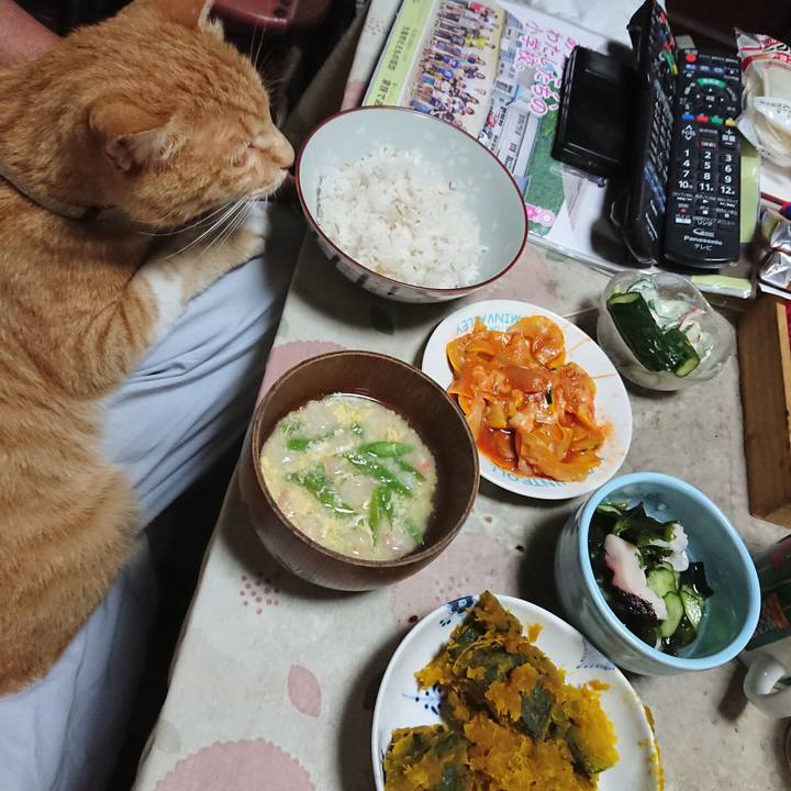 Ea7c5d3e 0b23 4aa1 a306 661798c804d3 1595938024227