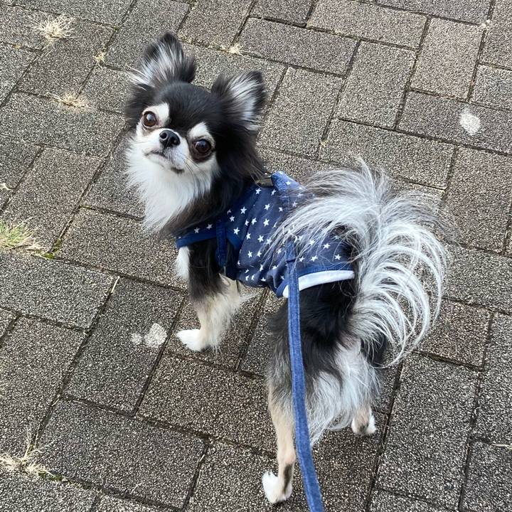 Ea7c73fd c970 495a b41f 3bdc8df20701 1666446370716