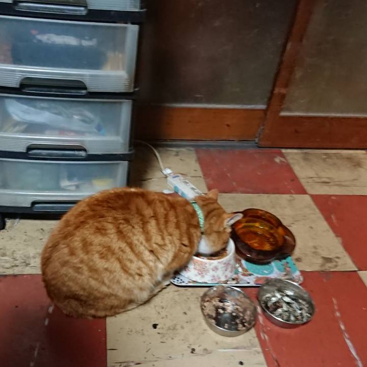 Ea7ce5ee e1a7 4bb3 99ae 690f8f7bc622 1580980769677