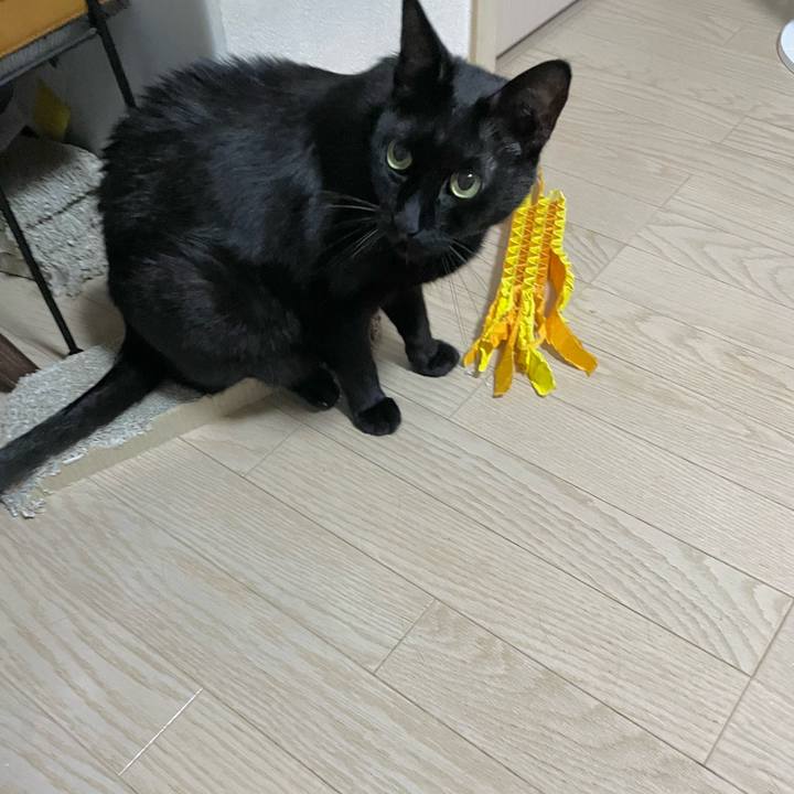 Ea7d101f 9236 469d 9bb9 9d38eef59469 1720445887764