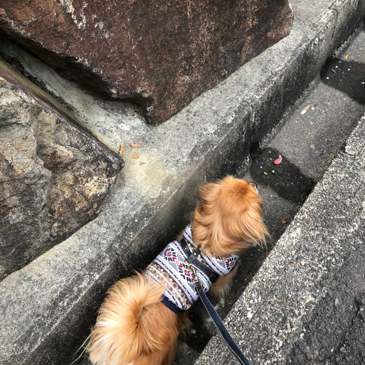 Ea7d10f8 e983 42b1 961a 39b123b28c76 1555017705156