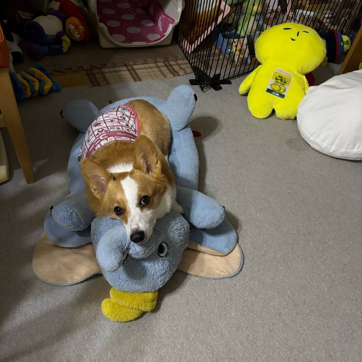 Ea7d1103 39dd 4725 a2d0 d2ec0400fafc 1762095236462