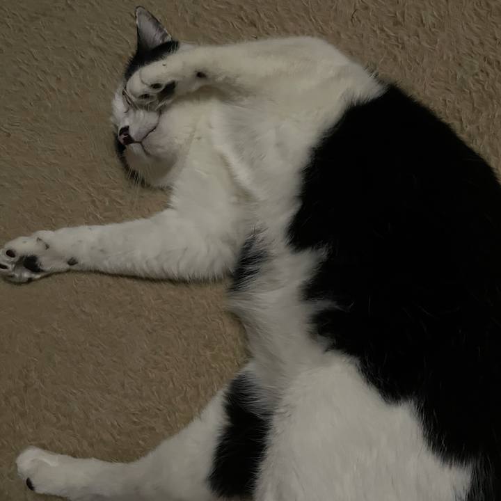 Ea7d1a4a d22e 4b8a bb00 c9c640c439e5 1617215986770