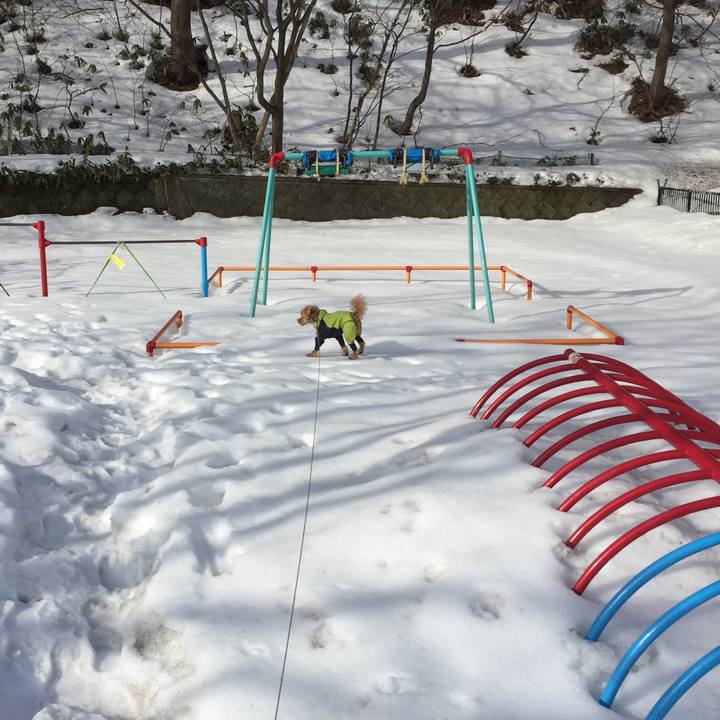 Ea7d337e d658 4fe8 bc19 952e2cc396d2 1521762879415