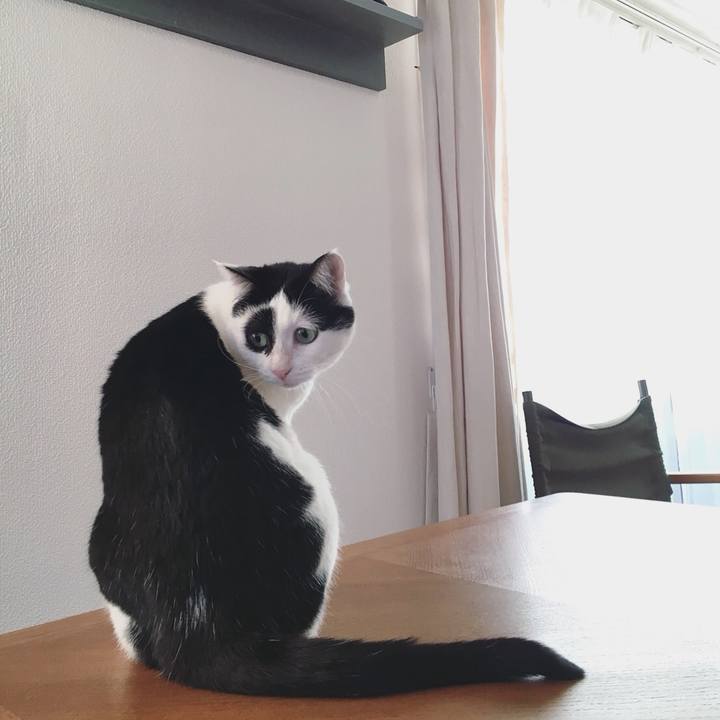 Ea7d3e0d fe8e 4c4a 8bde d11b019e311c 1546566030673