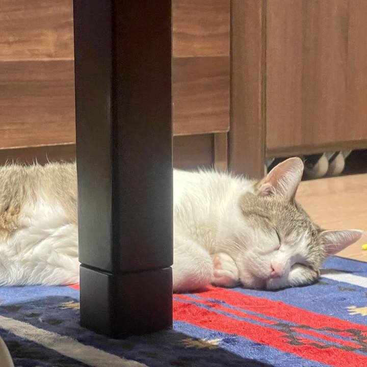 Ea7d4e7a 7fda 4ffa bab0 28aa955f93af 1627642634384