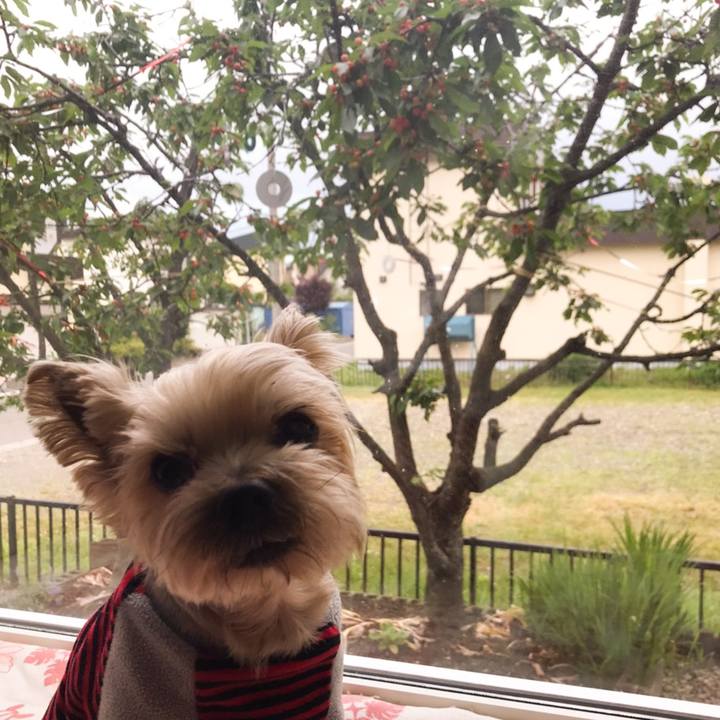 Ea7d553c f1ad 4065 a4e8 80bda14ea36c 1592648409704