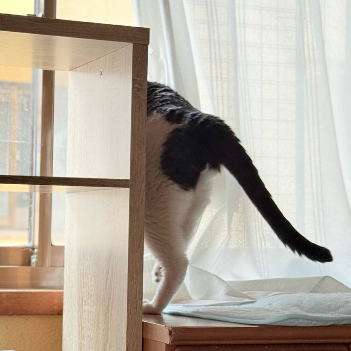 Ea7da371 e11d 4c22 a75e 184367dbc308 1761527704089