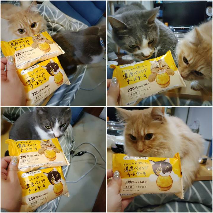 Ea7da381 7b21 4dde b2ae eca87d8b266d 1708005838807