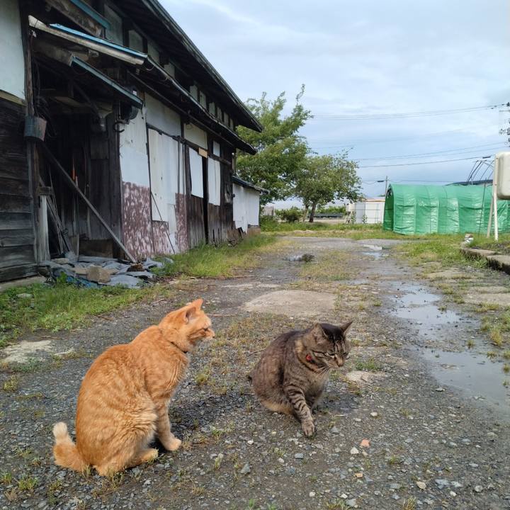 Ea7dae1a fed6 4359 9f6f 0c8f1859f257 1686897320418