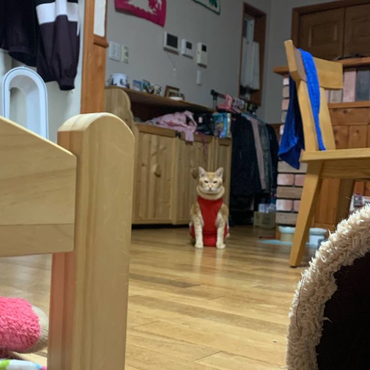 Ea7dd3fc 049d 4822 a844 70ee56e82921 1584587954668