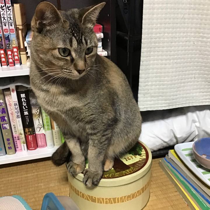 Ea7dda82 cec0 4bbb 8c55 a9aa497e7ff8 1584178963404