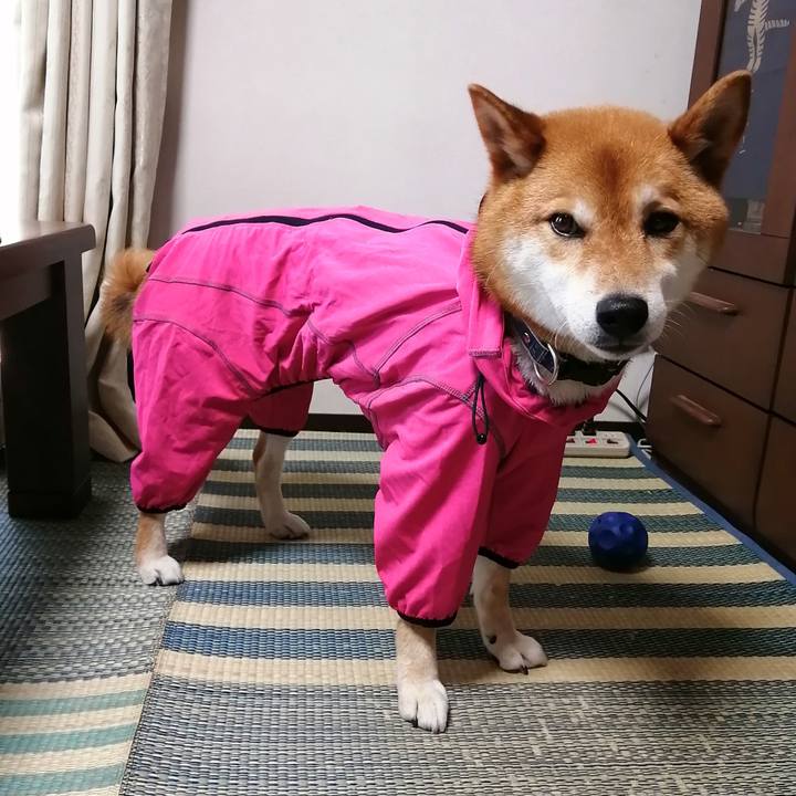 Ea7dfa1a 361b 444e 8d5f 093b02464967 1591678567494