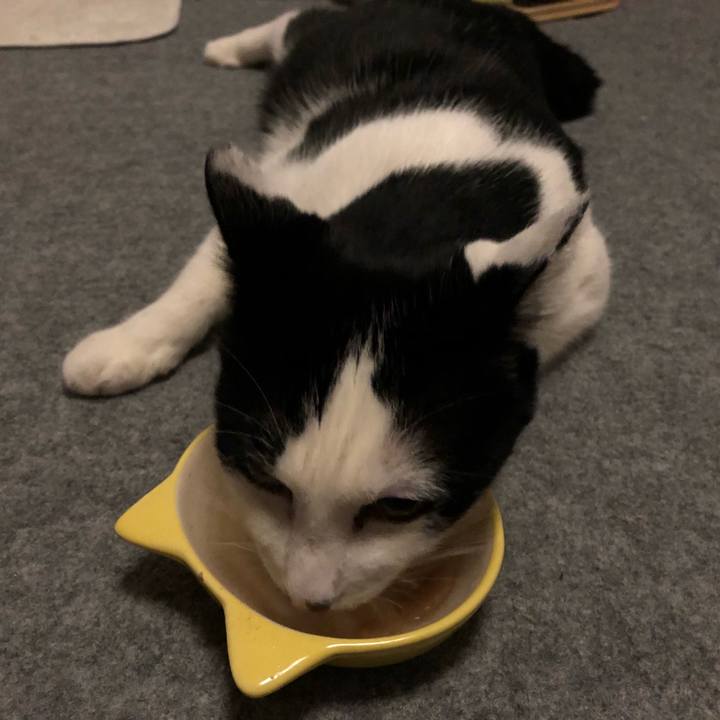 Ea7e129f d6de 48cf 8c9f 842bdca7f800 1552584008375