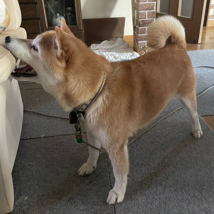 Ea7e2c40 3224 4c7f ab83 489e966b11af 1628063539317