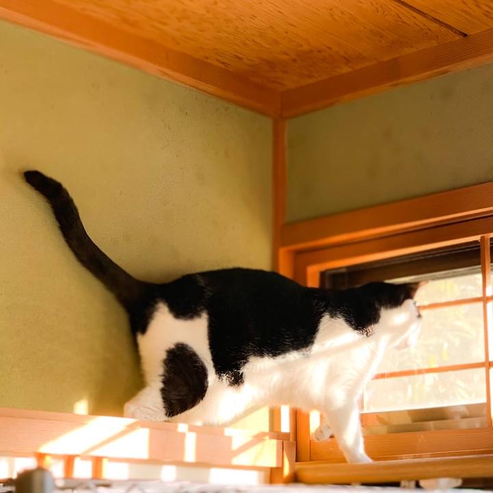 Ea7e4e3a bbdd 43b7 90da a585beadfada 1577066291593