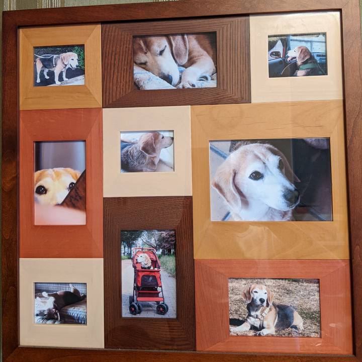 Ea7e5c93 c14d 458f b688 c638ed67d65d 1654385141886