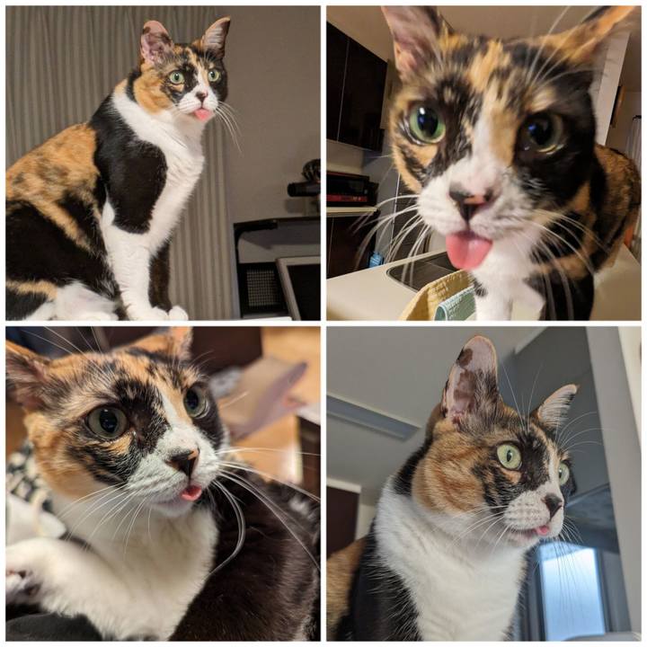 Ea7e8235 1be2 4bb7 98ae d1542f267888 1695959328281