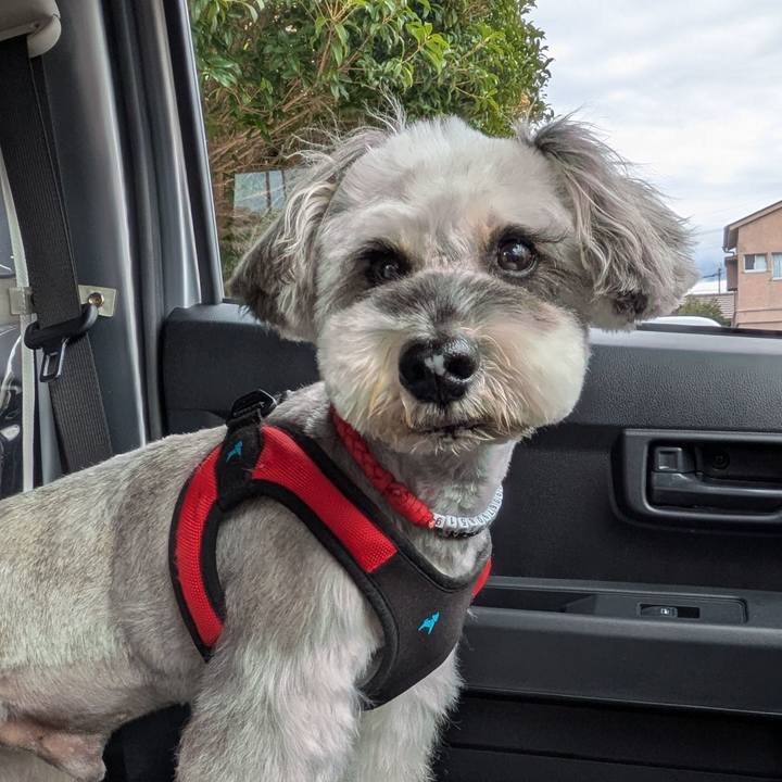 Ea7ea920 c374 4773 a09f f9a71584cac3 1759147975172