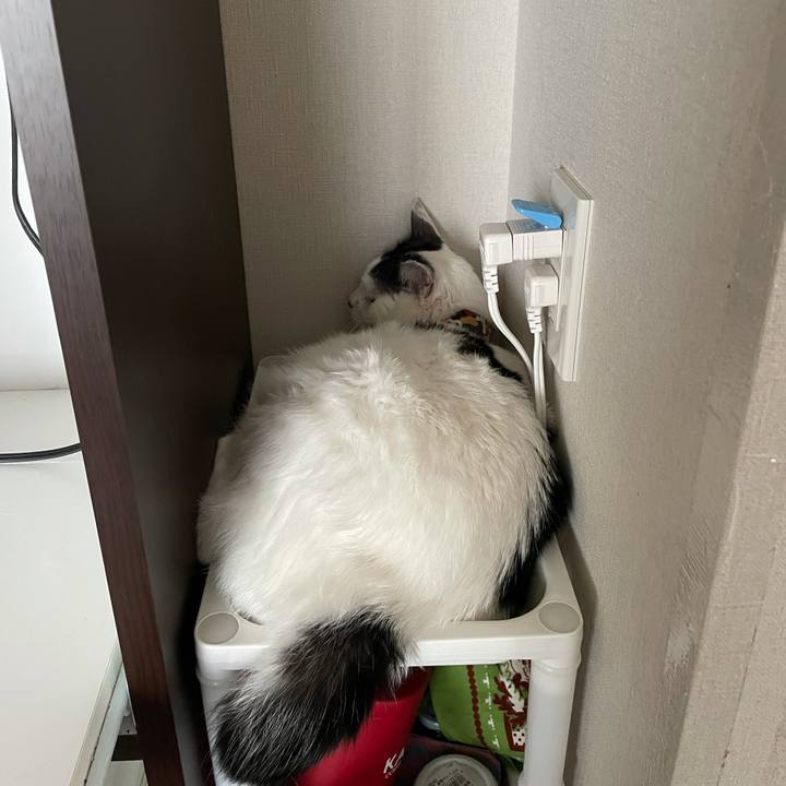 Ea7f1242 8401 4a85 b321 e7bc87808fc6 1628048575667