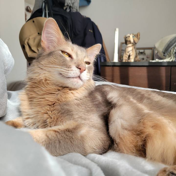 Ea7f71a1 fcd5 430d 8b5f 2a639a408c45 1678062634659