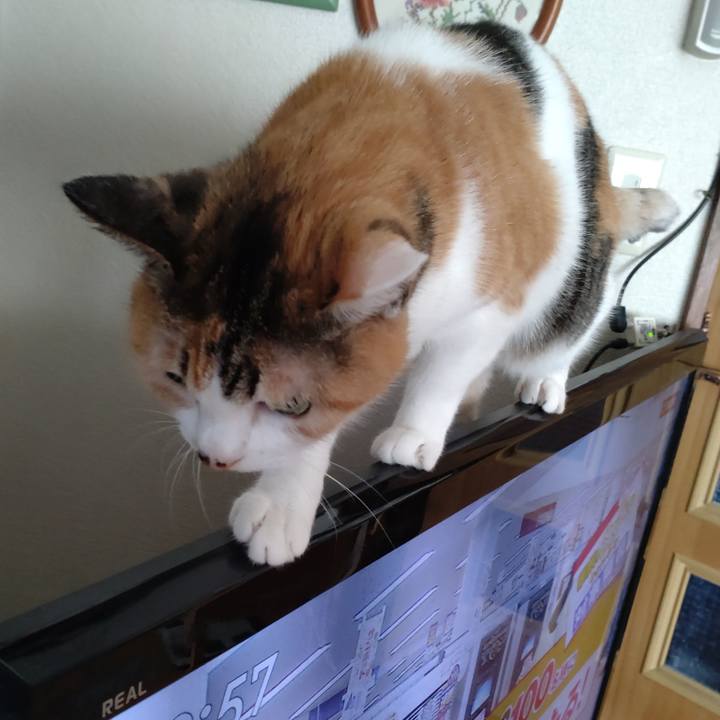 Ea7f7d8d dc98 452f 95e4 2c3bea229bde 1695602301180