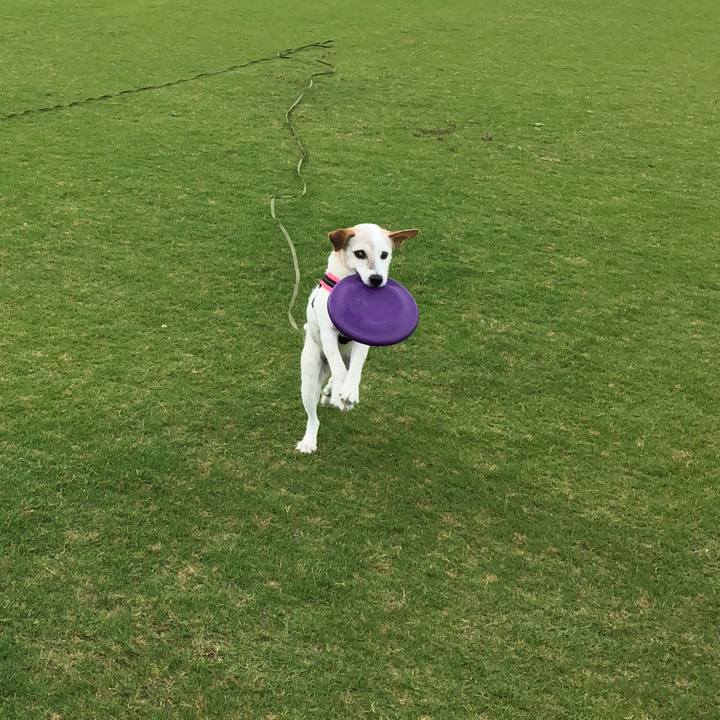 Ea7f7edf a2db 401f b38f 6d6fcd369841 1530957601000