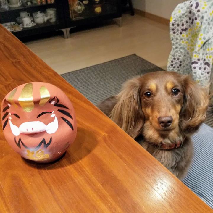 Ea7f8dbd 03b6 45be 9603 ffb5d3604a3a 1547041914456