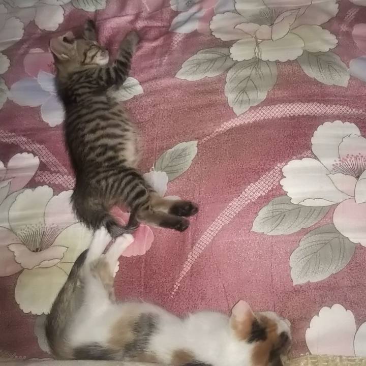 Ea7f9e01 fd0f 4f53 b9bf a43025529f4b 1633167459426