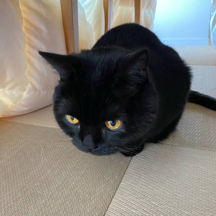 Ea7fa58a 921d 4dd9 a98d bdd07b1a46a9 1652146354852