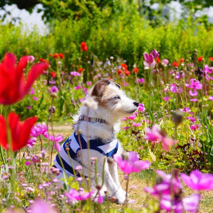 Ea7fde85 be2e 4999 81fd 576ea30ed443 1715039074533