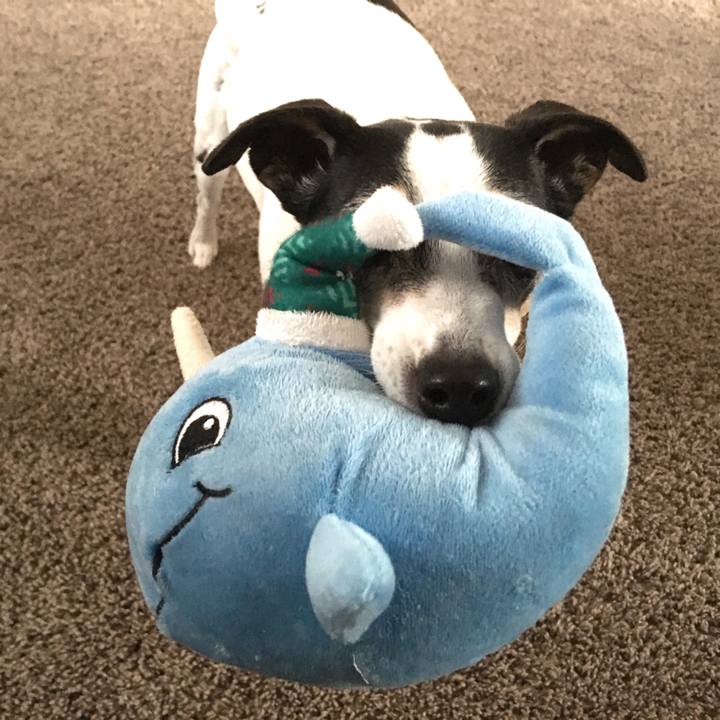 Ea7fdf4f afdb 42f0 bf06 02c9a02757a4 1579990931214