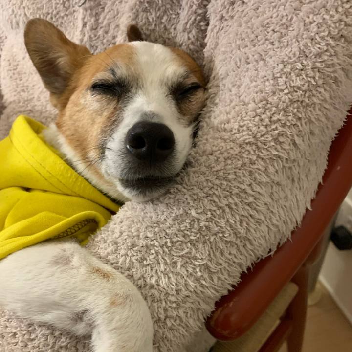 Ea7ffec3 8b24 482e 8ee1 2b6f714ddc2b 1647525511141