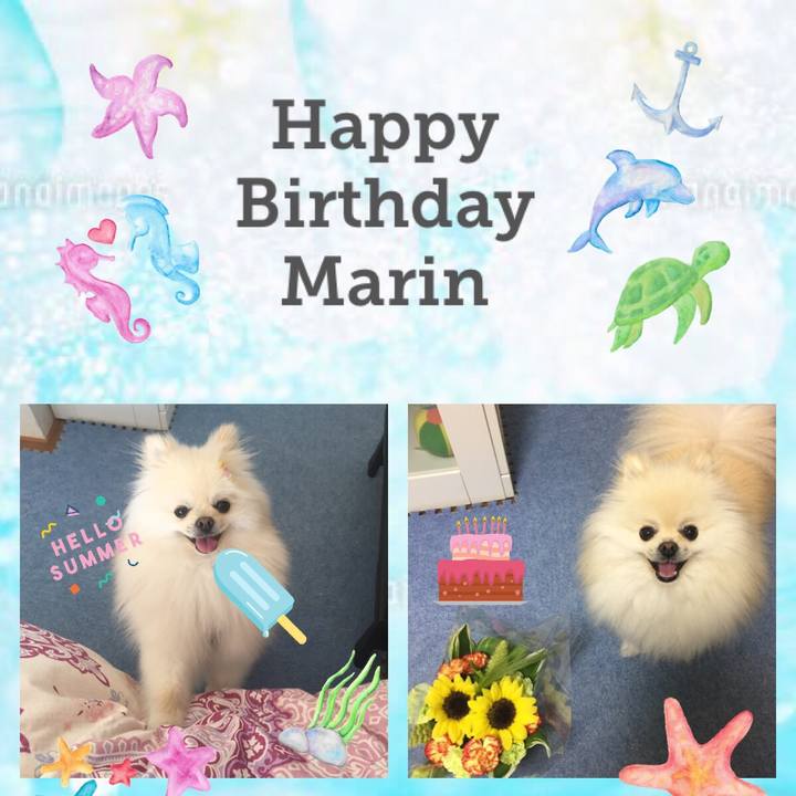 Ea8047f0 95bd 49d8 a4f6 ae50cbd3f739 1533826830246