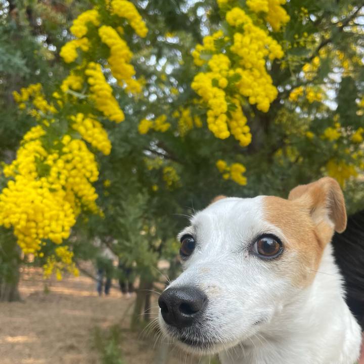 Ea80489f 3106 4b8f 98dc 866d566e3f97 1742549646894