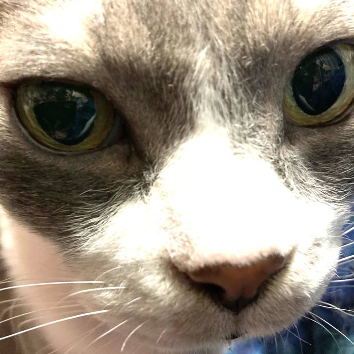 Ea8049f2 418f 4702 9d96 0c6534979114 1637066786197