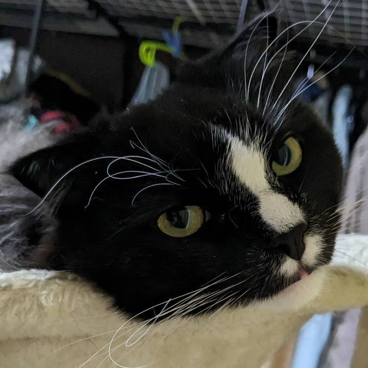 Ea806a40 bade 4da4 b6cf 253c962488e1 1704002516770