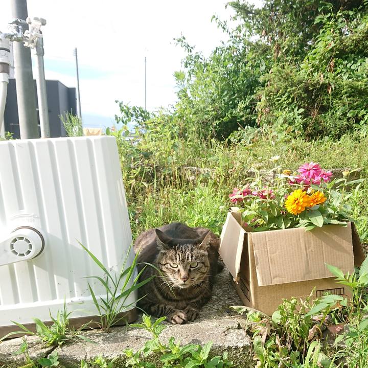 Ea80a4dc e7f3 44ec bf7f cdf13d9d3bb5 1656456085810