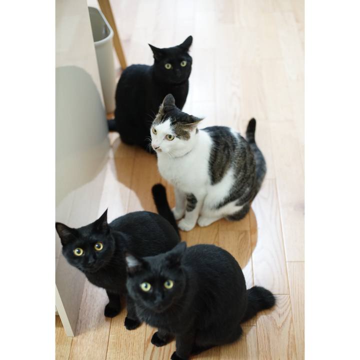 Ea80a543 64f7 48e0 a60c 1f4ed08c7f1f 1530354803269