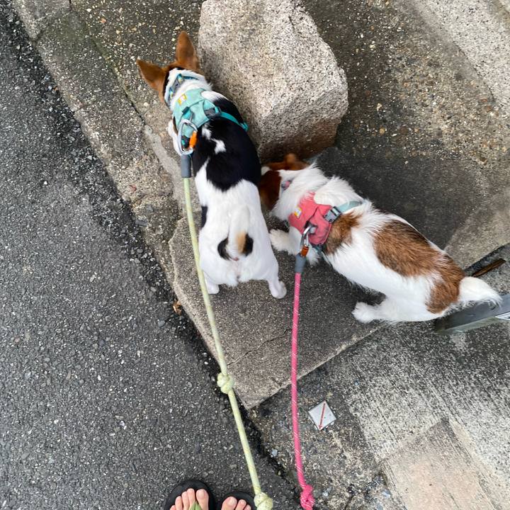 Ea80c252 5f93 4014 adc5 484cbf696c58 1756417631229