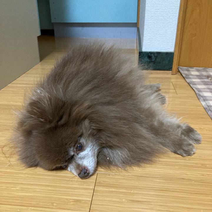 Ea80d9d4 2072 4cef b020 60d6b68aaf5f 1711533235649